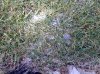03082010032..jpg