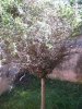 CIMG0687M..jpg