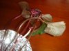 DSC04272.jpg