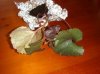 DSC04271.jpg