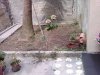 IMG01309-20100819-1&.jpg
