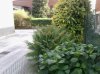 Foto0027..jpg