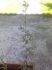 31082010017.jpg