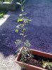 31082010015.jpg