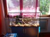 IMG_20130901_155147.jpg