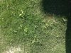 20130906_101214.jpg
