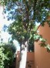 2013-09-13 16.31.57.jpg