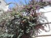 CAM00032.jpg