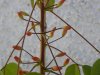 DSCN1618.jpg