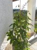 DSCN1621.jpg