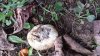 20130919_123423.jpg