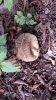 20130919_123541.jpg