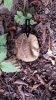 20130919_123541.jpg