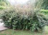P9160040.jpg