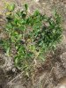 20131007_102931.jpg