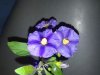 20131011_115131.jpg