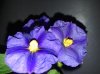 20131011_115134.jpg