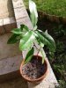 20131014_095921.jpg