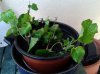 20131014_093627.jpg