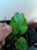 20131014_093639.jpg