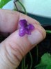 20131014_093652.jpg