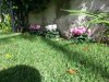 20131013_131857.jpg 20131013_131857.jpg