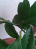 20131015_105945.jpg