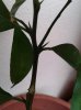 20131015_105954.jpg
