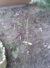 20130918_084458.jpg