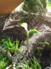 20131003_103550.jpg