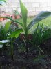 20131016_095523.jpg