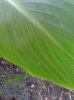 20131016_095451.jpg