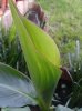 20131016_095508.jpg