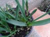 20131012_093826.jpg