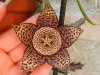 DSCN5197.jpg