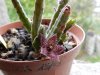 DSCN5489.jpg