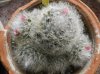 DSCN5472.jpg