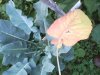 IMG_10202013_175957.jpg