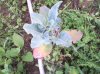 IMG_10202013_180006.jpg
