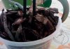 IMG_20131023_134551.jpg