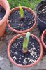 20131017_122241.jpg