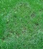 20131027_095728-1-1.jpg
