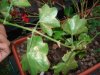 DSC09198.jpg