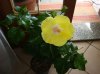 DSC04562.jpg