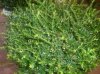 DSC00152.jpg