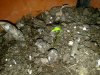 18092010023.jpg