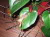DSCF8976.jpg