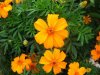 IMG_0067 rid.jpg