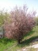 G_Foto0023.jpg