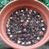20131004_174128.jpg